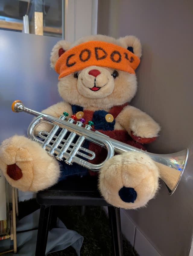 CODO macht ein X'erl - Bild 2